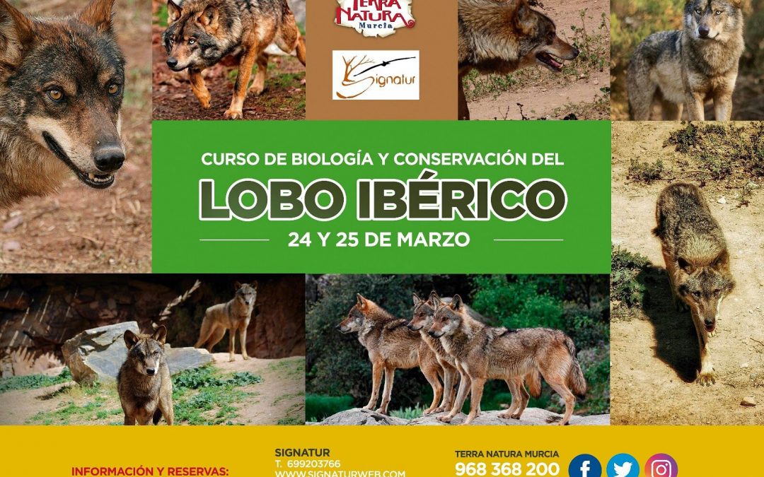 Curso sobre biología y conservación del LOBO IBÉRICO – 24 y 25 de marzo