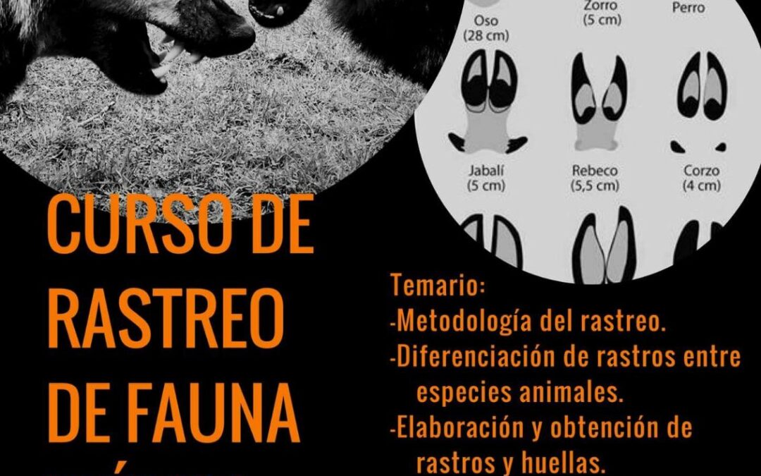 CURSO DE RASTREO DE FAUNA IBÉRICA – 7 y 8 de Abril