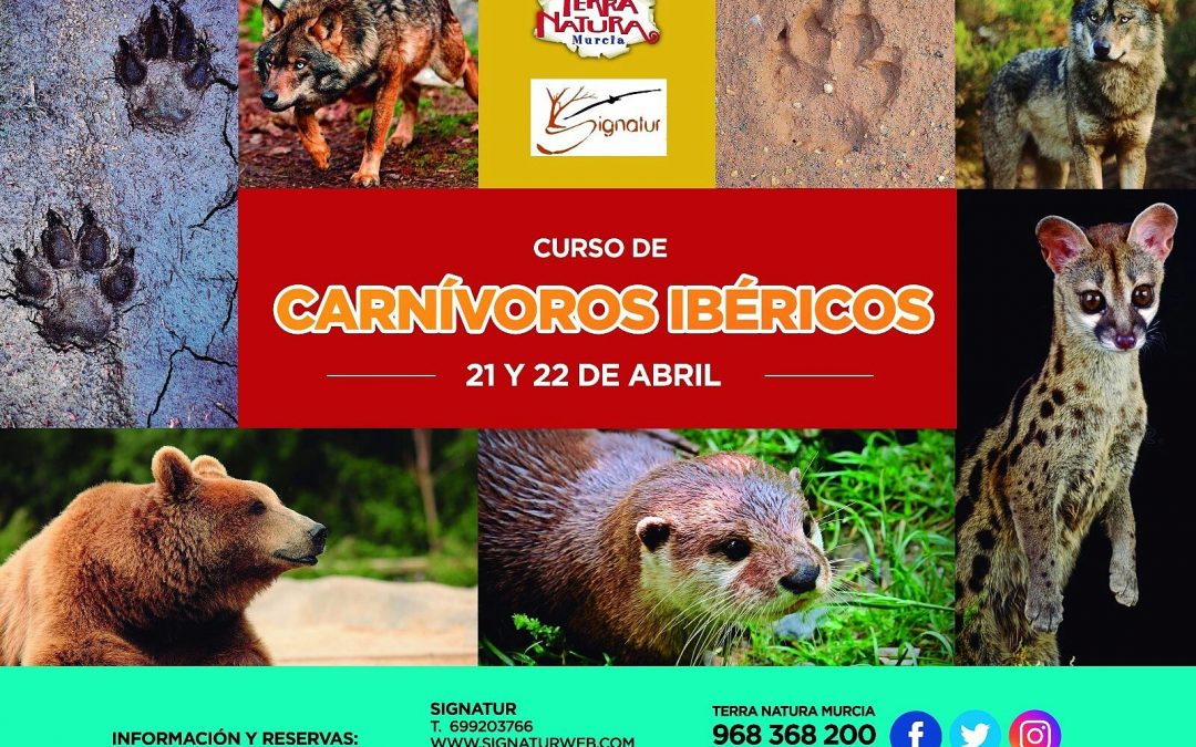 CURSO CARNÍVOROS IBÉRICOS. Fecha: 21 y 22 de Abril. Lugar: Terra Natura (Murcia)