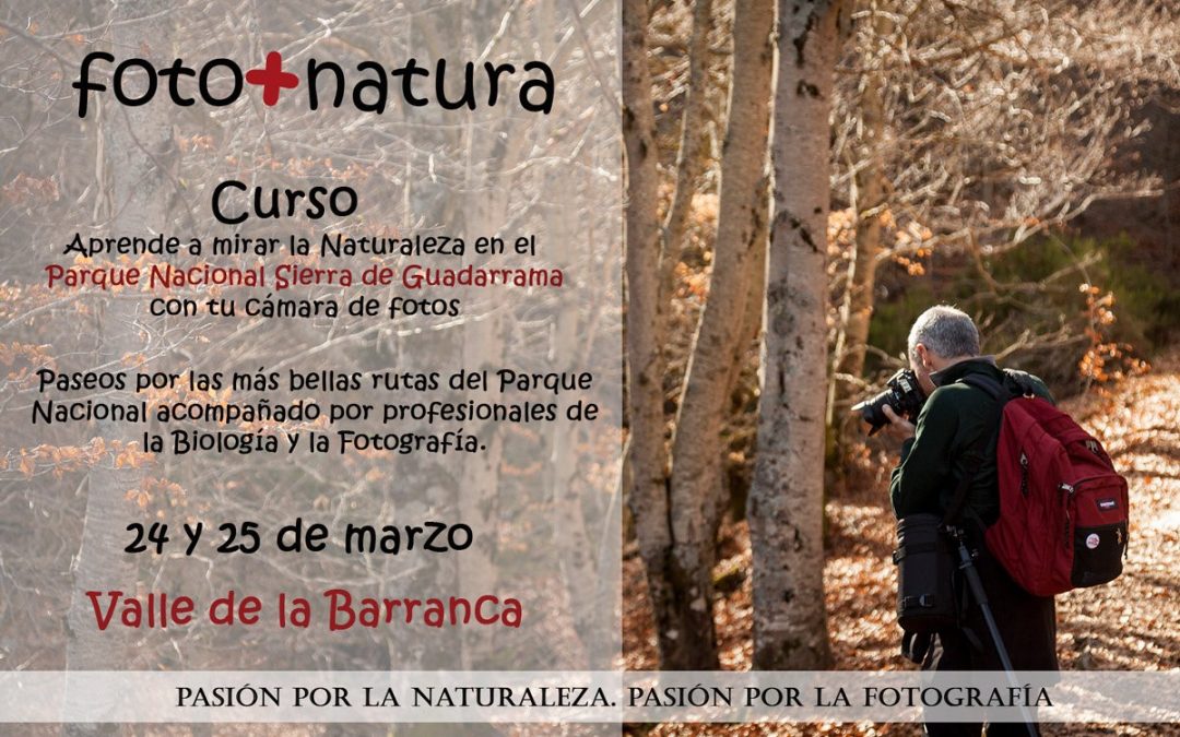 Curso de Fotografía y naturaleza. Fecha: 24 y 25 de marzo. Lugar: Sierra de Guadarrama